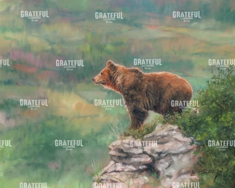 European Brown Bear
