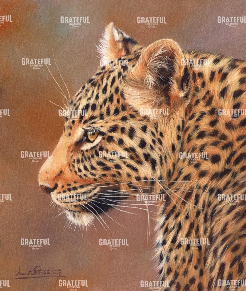 Leopard looking left