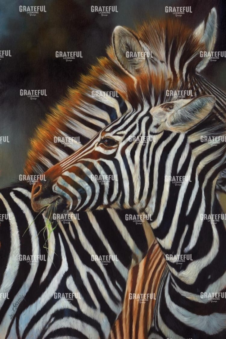zebras