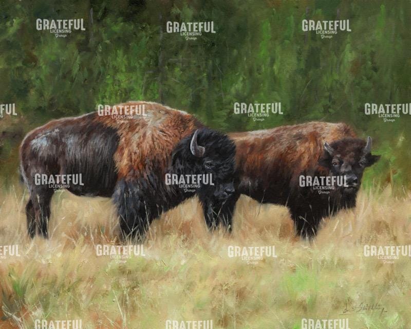 Bison Pair