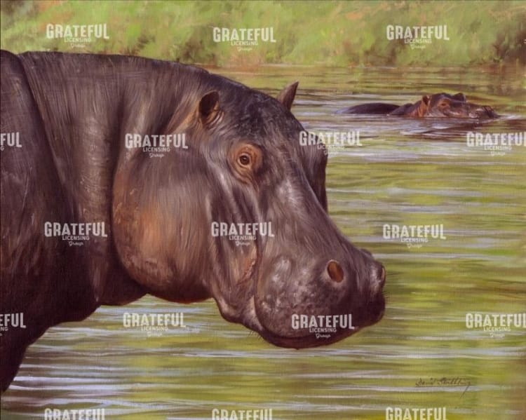 HIPPO