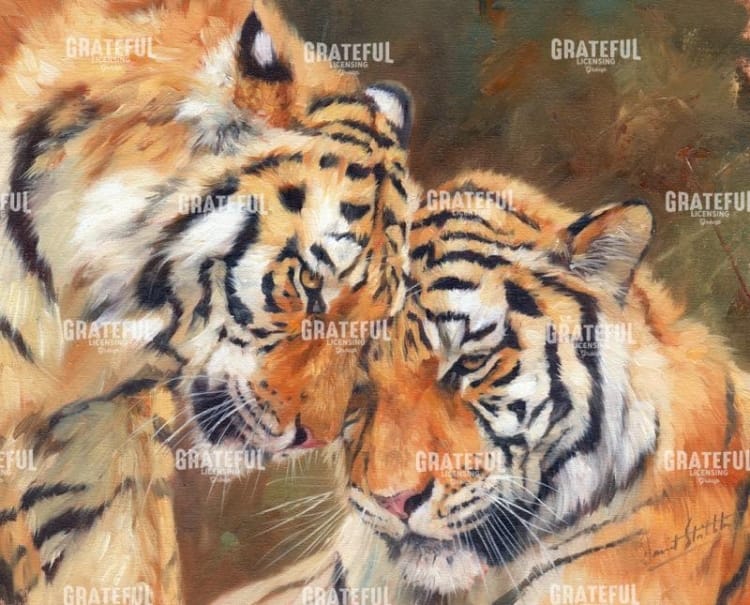 Tiger Love