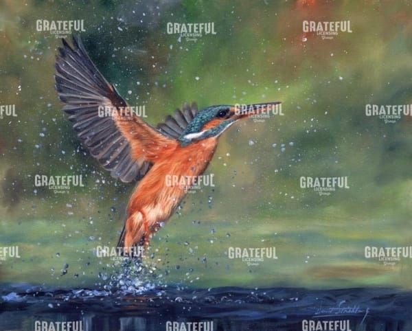 Kingfisher
