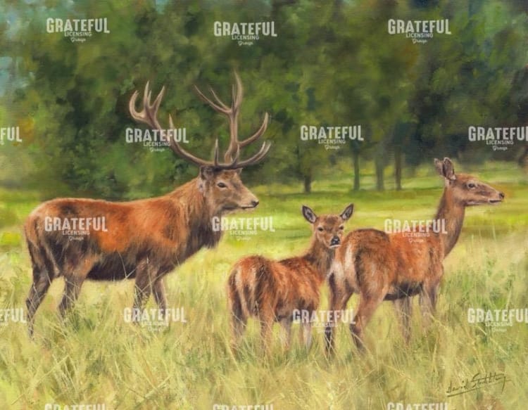 Deer Family