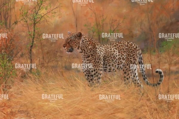 Leopard in the African Bush 2