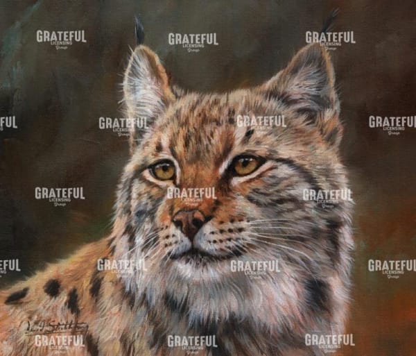 Eurasian Lynx