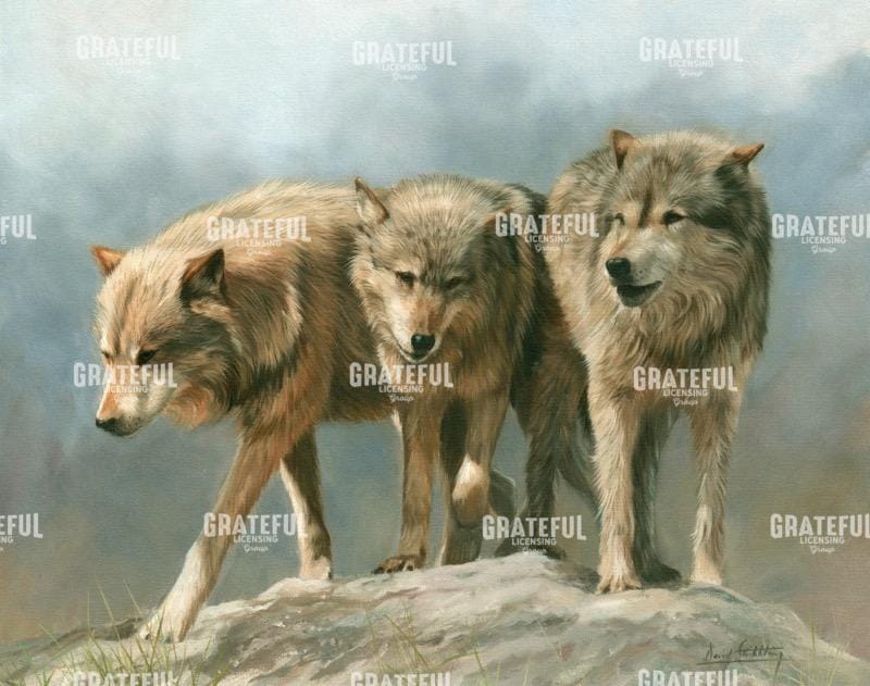 three wolves
