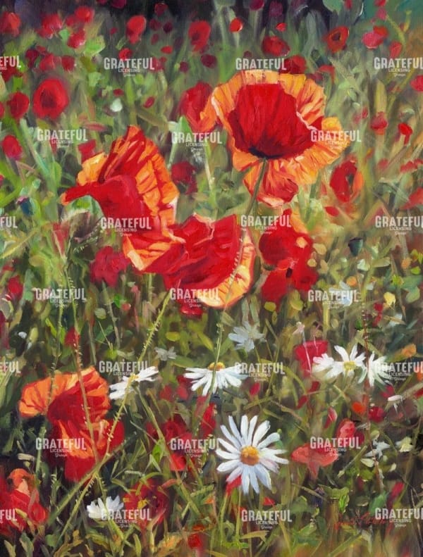 Poppies