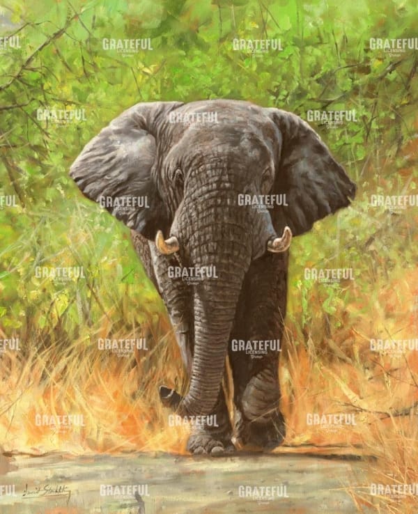 Elephant Charge