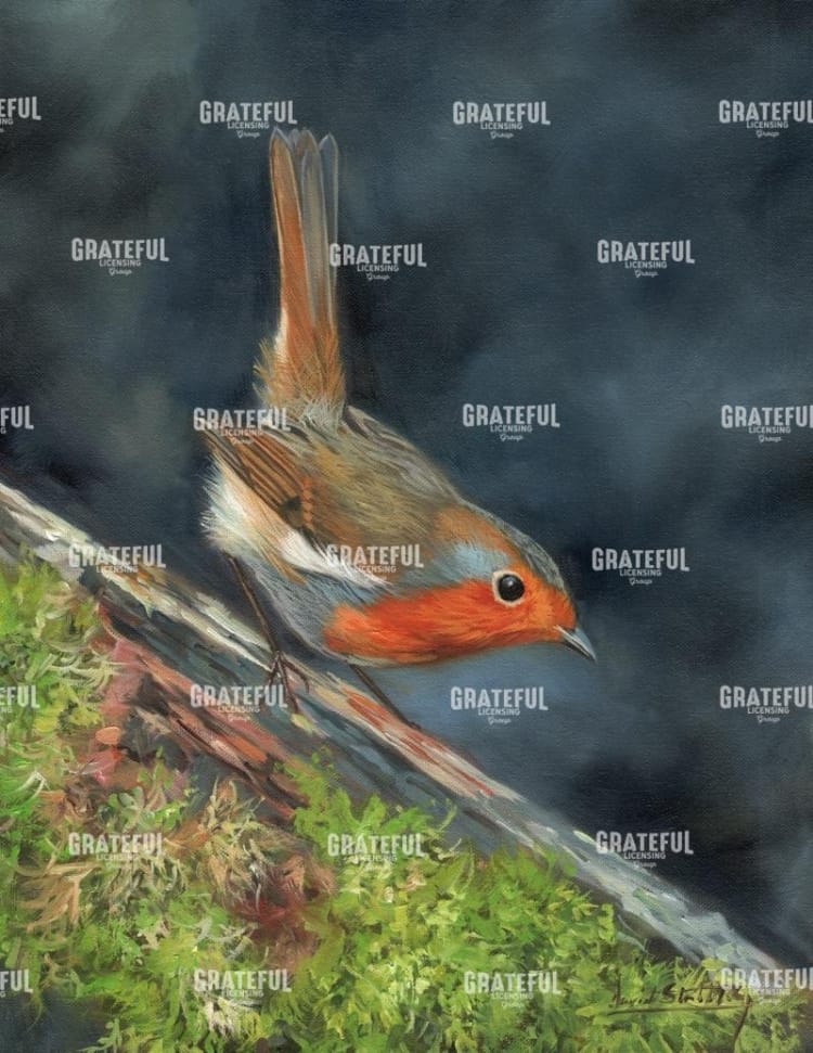 Millie the Robin
