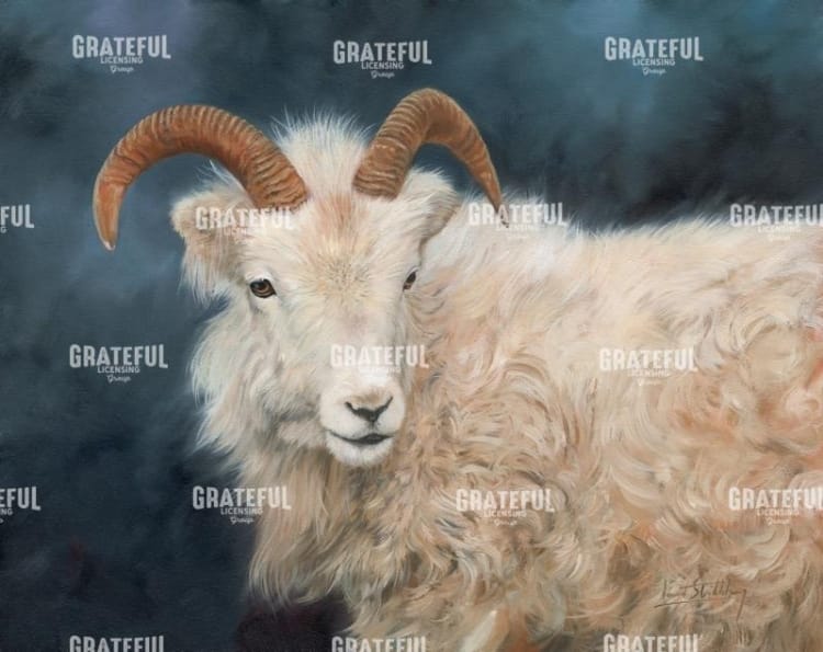 Mountain Goat 2