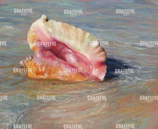 Conch Shell
