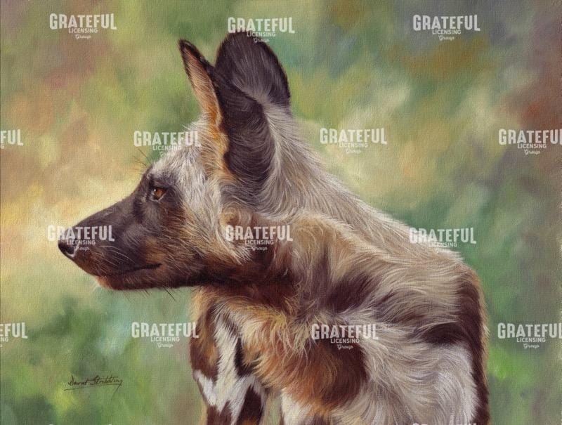 African Wild Dog