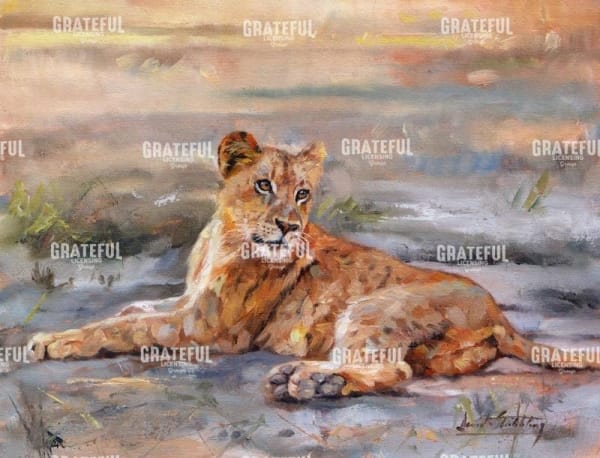 Lion Cub Resting