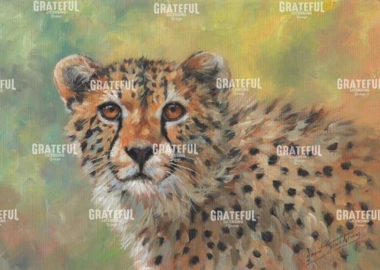 cheetah portrait