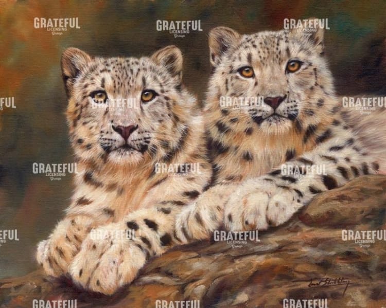 snow leopards