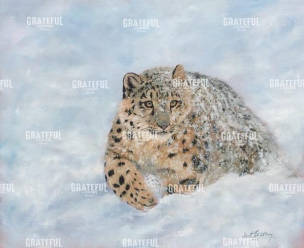 Snow leopard final