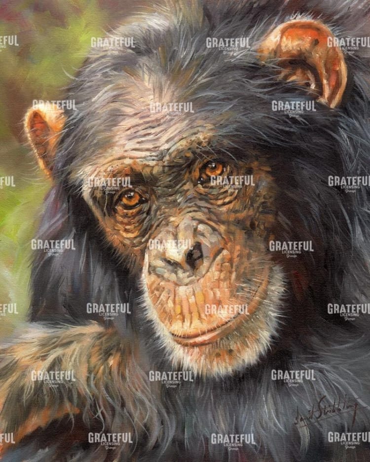 Chimp The Thinker