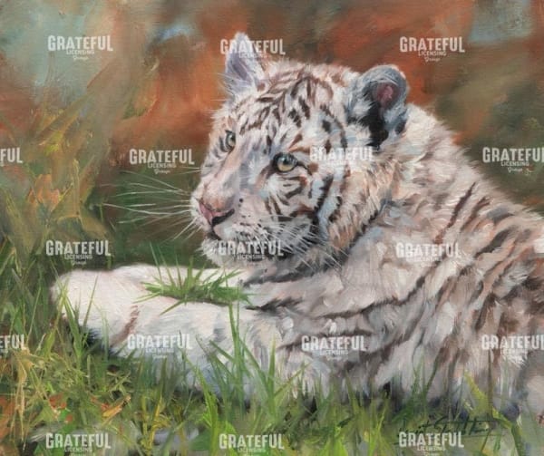 white tiger cub laying down