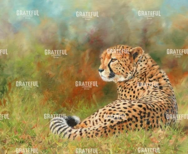 Cheetah Grass