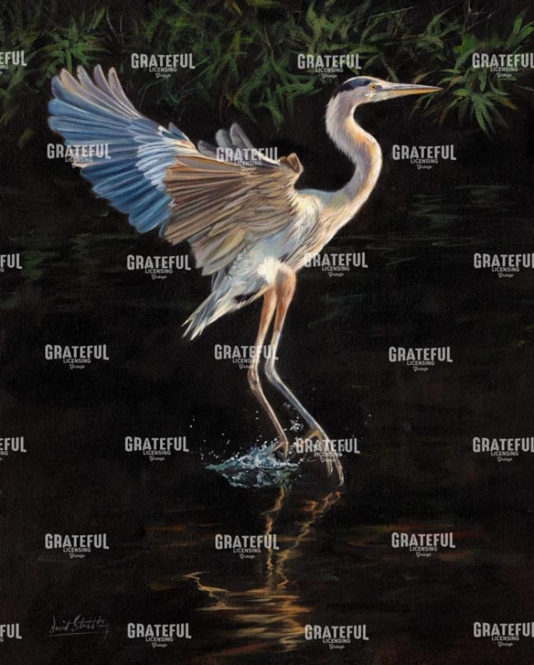 Heron