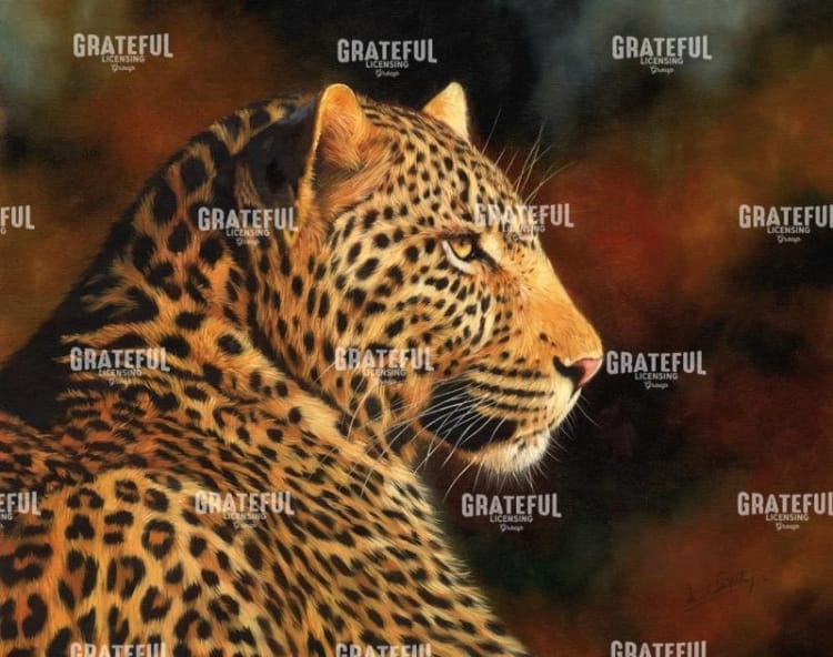 Leopard looking right