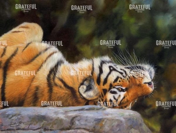 Tiger on Back