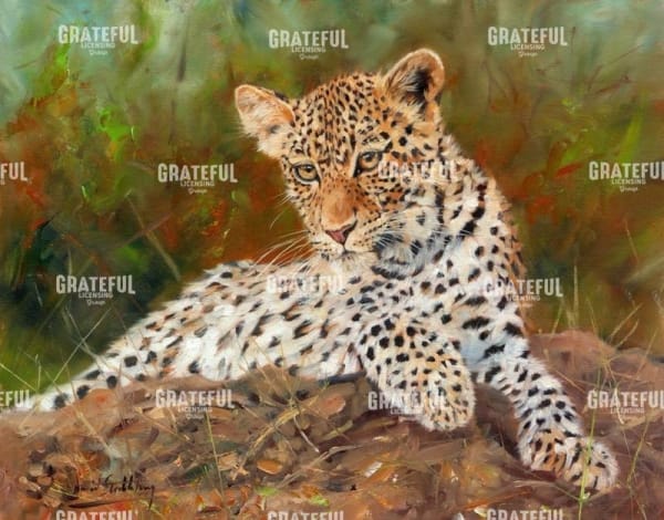 Lazy Leopard