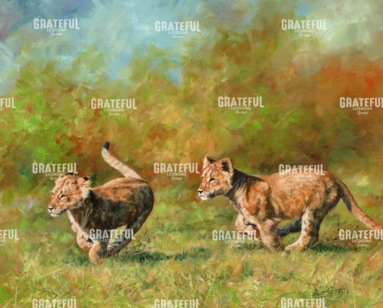 lion cubs running