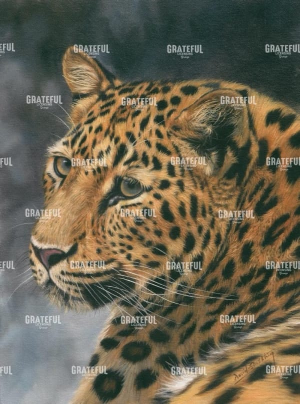 Leopard Portrait 2