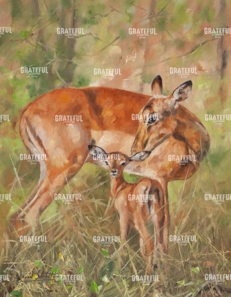 Impala and young