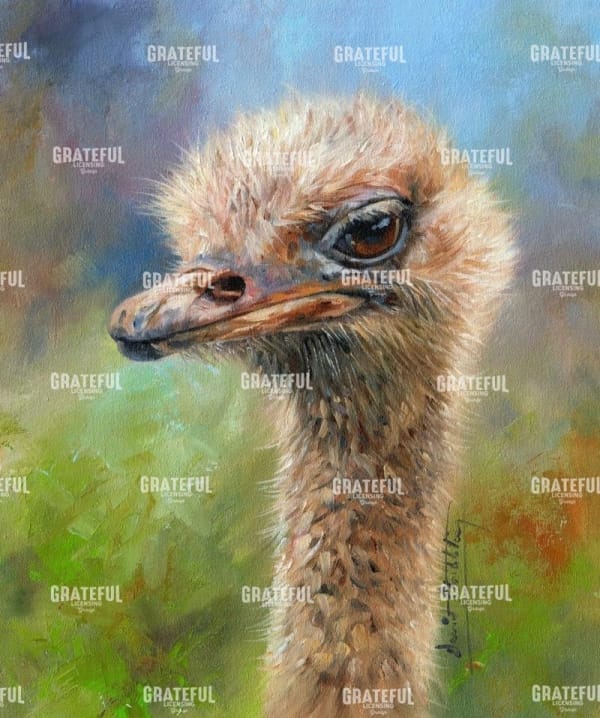 Ostrich