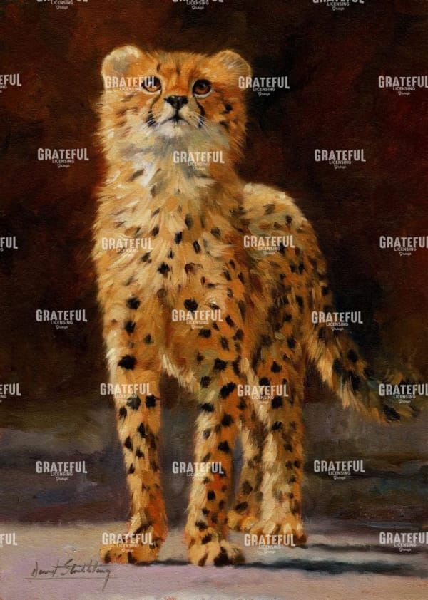 cheetah cub