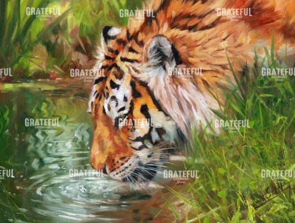 Tiger quenching thirst