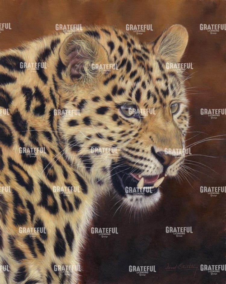 leopard growl