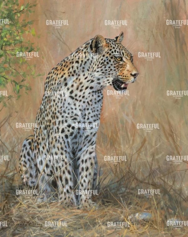 Leopard