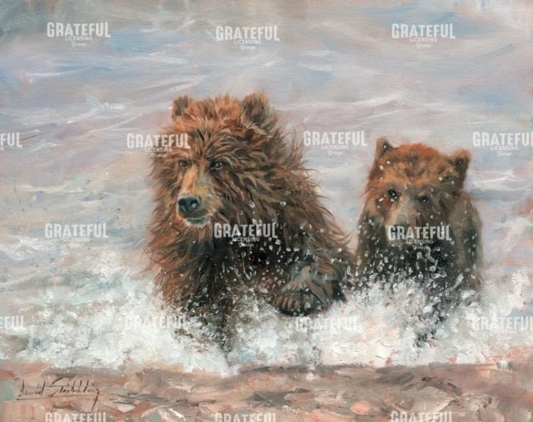 The Bears Are Coming