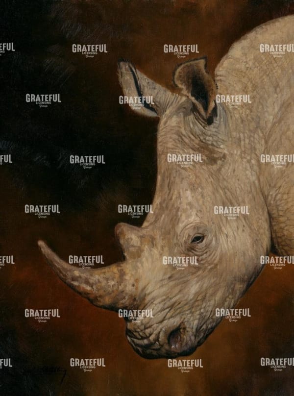 RHINO 2