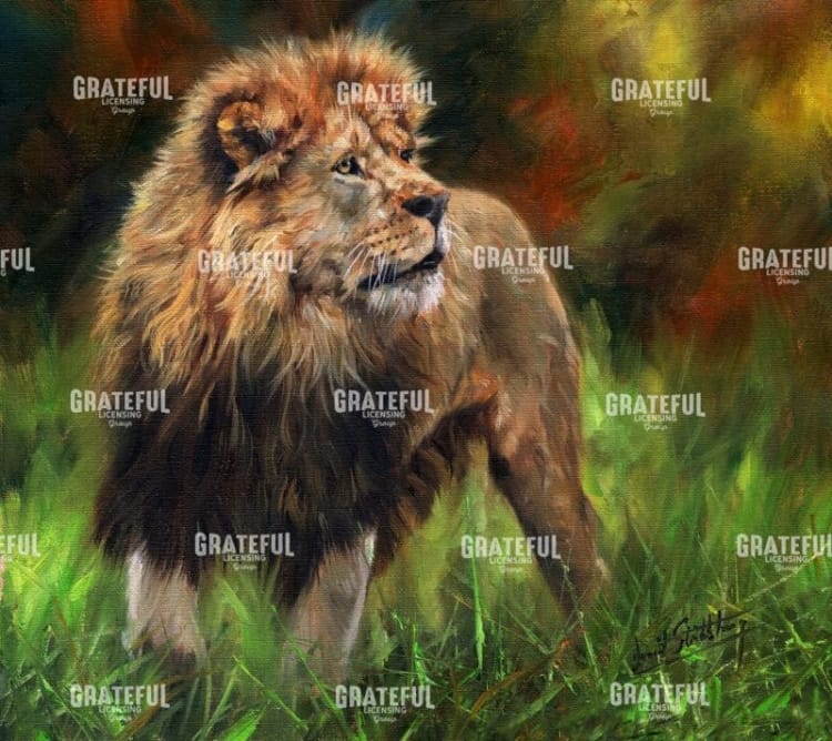 Lion Full Length