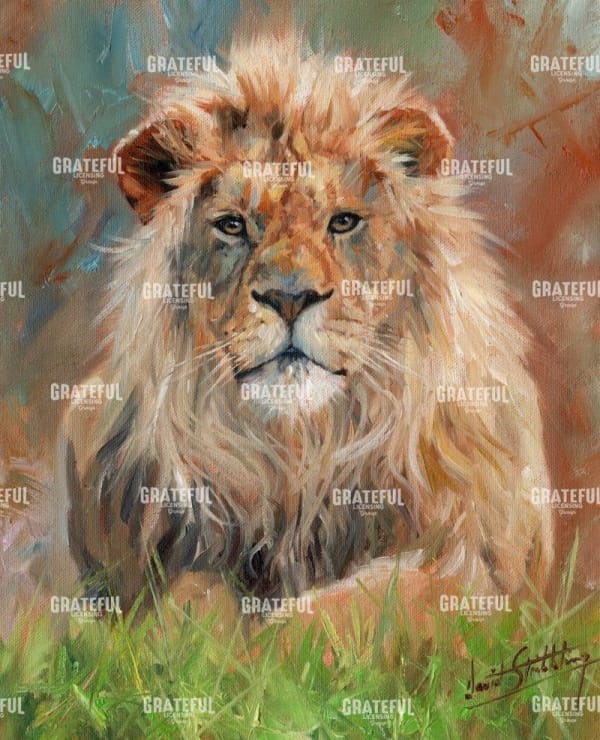 Lion front 1012