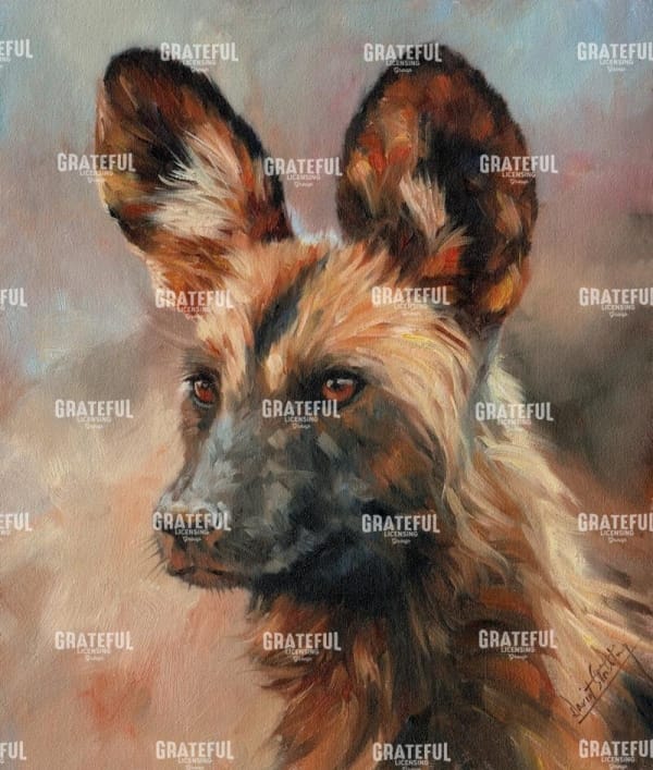 Africa Wild Dog