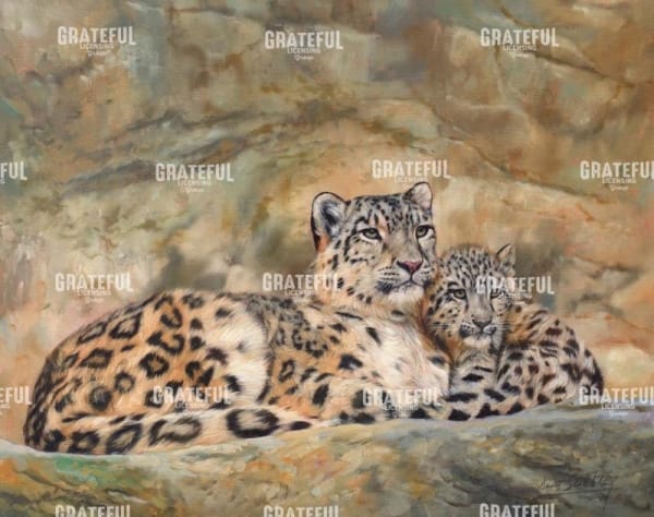 Snow Leopards Circles