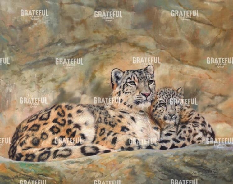 Snow Leopards Circles