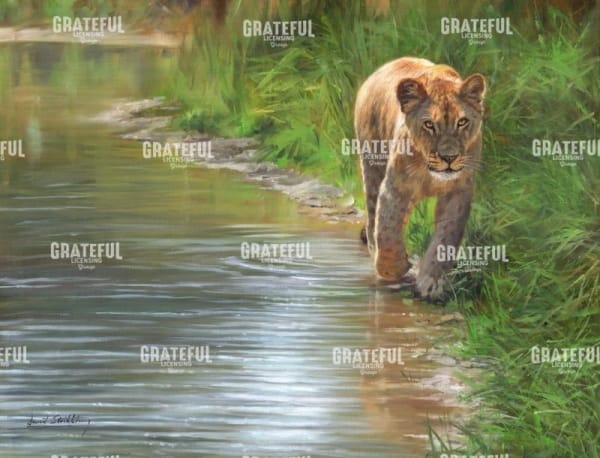 Water's Edge Lioness