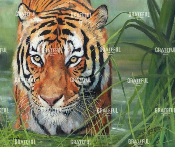 Tiger Grass