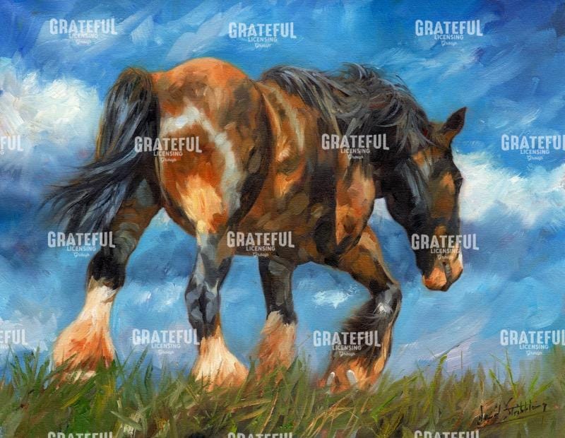 shire horse end of the day