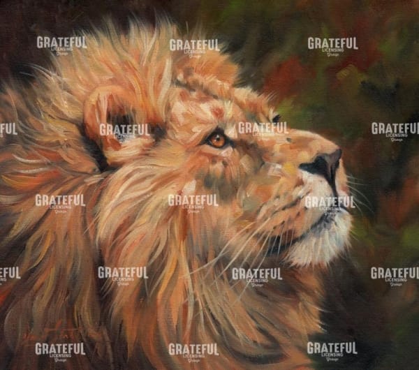 Lion study