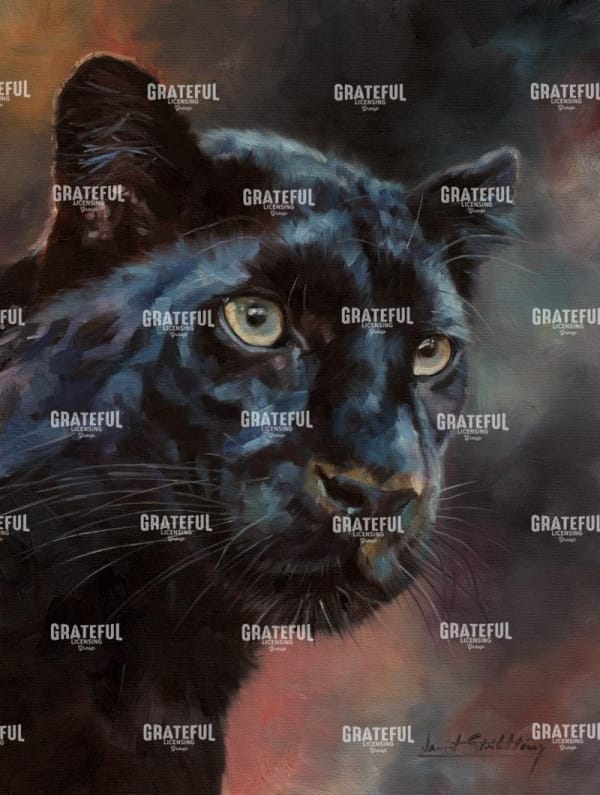 Black Panther 1