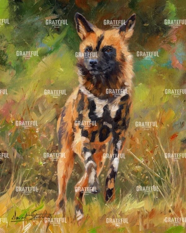 wild dog 2 left