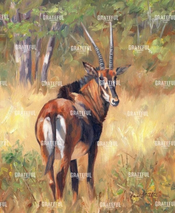 sable